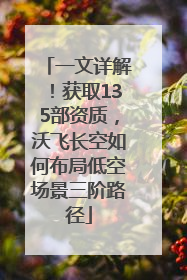 一文详解！获取135部资质，沃飞长空如何布局低空场景三阶路径