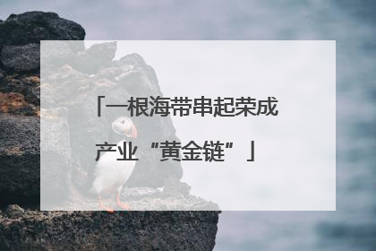 一根海带串起荣成产业“黄金链”