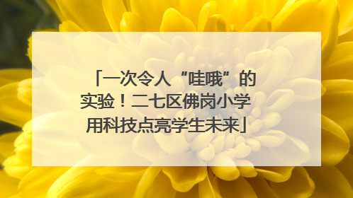 一次令人“哇哦”的实验！二七区佛岗小学用科技点亮学生未来