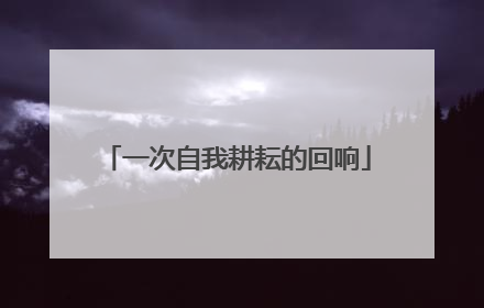 一次自我耕耘的回响