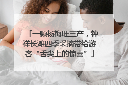一颗杨梅旺三产，钟祥长滩四季采摘带给游客“舌尖上的惊喜”