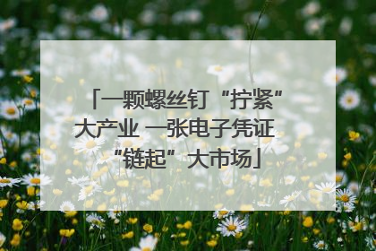 一颗螺丝钉“拧紧”大产业 一张电子凭证“链起”大市场