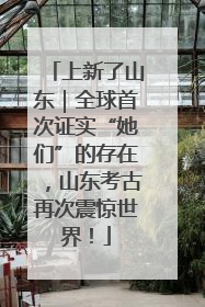 上新了山东｜全球首次证实“她们”的存在，山东考古再次震惊世界！