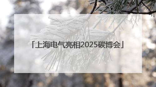 上海电气亮相2025碳博会