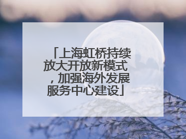 上海虹桥持续放大开放新模式，加强海外发展服务中心建设