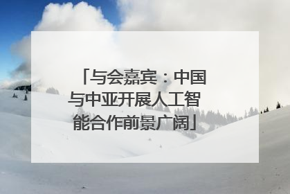 与会嘉宾：中国与中亚开展人工智能合作前景广阔