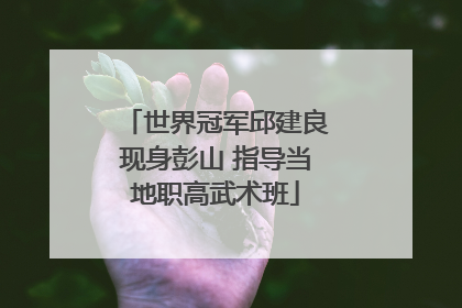 世界冠军邱建良现身彭山 指导当地职高武术班