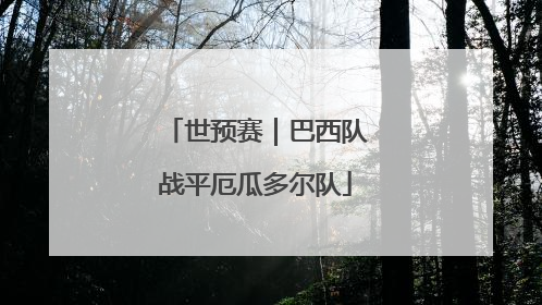 世预赛｜巴西队战平厄瓜多尔队