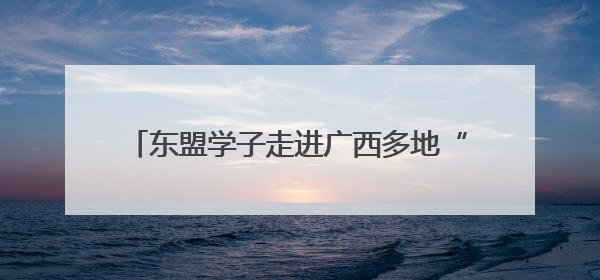 东盟学子走进广西多地“沉浸式”感知中国式民主