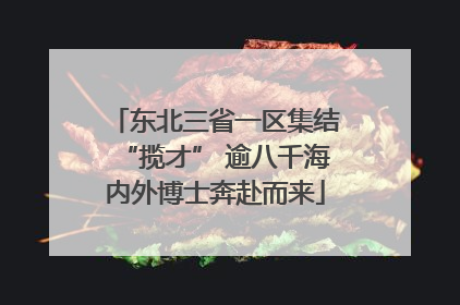 东北三省一区集结“揽才” 逾八千海内外博士奔赴而来
