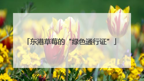 东港草莓的“绿色通行证”