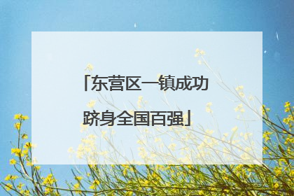 东营区一镇成功跻身全国百强