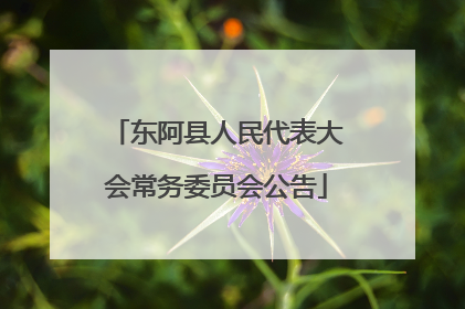东阿县人民代表大会常务委员会公告