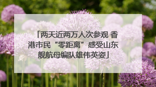 两天近两万人次参观 香港市民“零距离”感受山东舰航母编队雄伟英姿