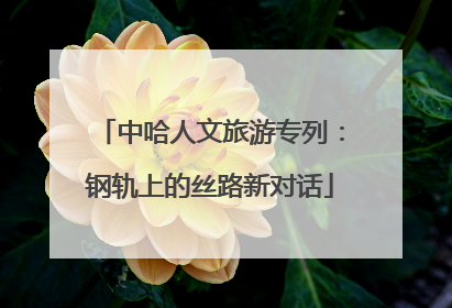 中哈人文旅游专列：钢轨上的丝路新对话