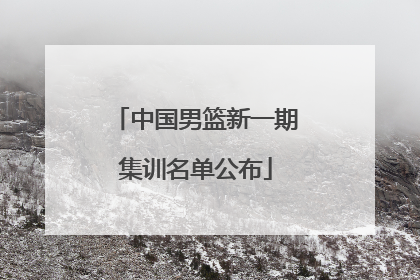 中国男篮新一期集训名单公布