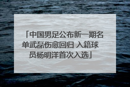 中国男足公布新一期名单武磊伤愈回归 入籍球员杨明洋首次入选