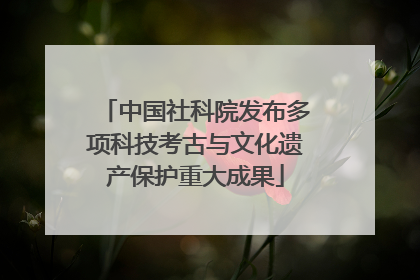 中国社科院发布多项科技考古与文化遗产保护重大成果