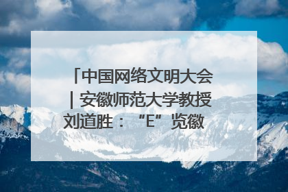 中国网络文明大会｜安徽师范大学教授刘道胜：“E”览徽风，构筑中华民族共有精神家园