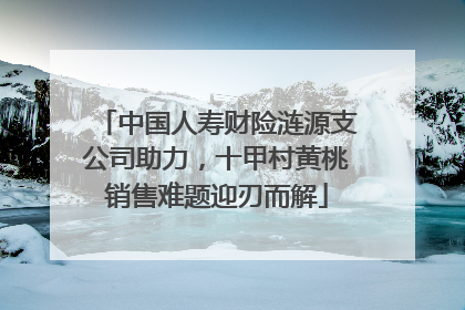 中国人寿财险涟源支公司助力，十甲村黄桃销售难题迎刃而解