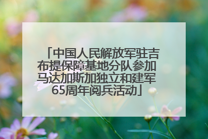 中国人民解放军驻吉布提保障基地分队参加马达加斯加独立和建军65周年阅兵活动