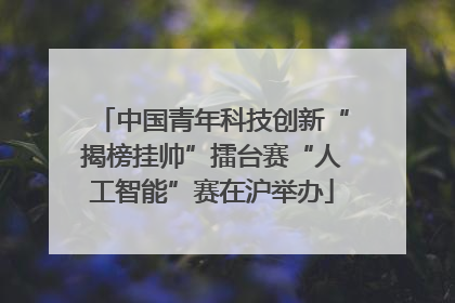 中国青年科技创新“揭榜挂帅”擂台赛“人工智能”赛在沪举办