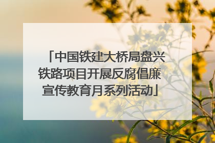 中国铁建大桥局盘兴铁路项目开展反腐倡廉宣传教育月系列活动