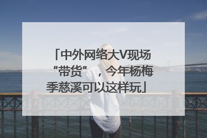 中外网络大V现场“带货”，今年杨梅季慈溪可以这样玩