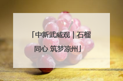 中新武威观｜石榴同心 筑梦凉州