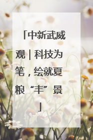 中新武威观｜科技为笔，绘就夏粮“丰”景