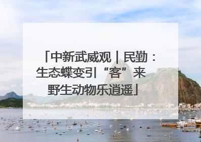 中新武威观｜民勤：生态蝶变引“客”来 野生动物乐逍遥