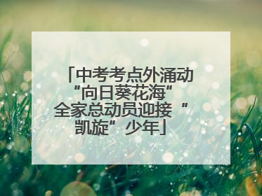 中考考点外涌动“向日葵花海” 全家总动员迎接“凯旋”少年