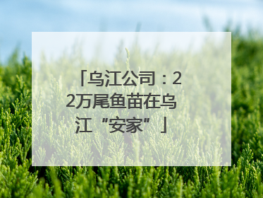 乌江公司：22万尾鱼苗在乌江“安家”