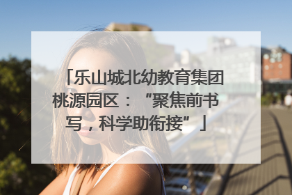 乐山城北幼教育集团桃源园区：“聚焦前书写，科学助衔接”