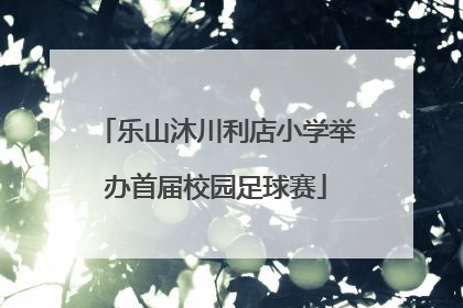 乐山沐川利店小学举办首届校园足球赛
