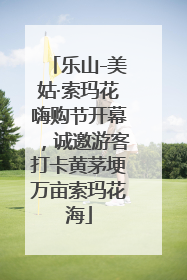 乐山-美姑·索玛花嗨购节开幕，诚邀游客打卡黄茅埂万亩索玛花海