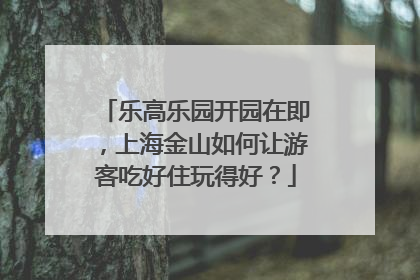 乐高乐园开园在即，上海金山如何让游客吃好住玩得好？