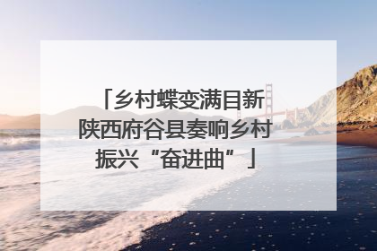 乡村蝶变满目新 陕西府谷县奏响乡村振兴“奋进曲”