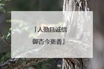 人勤且诚信 御杏今更香