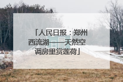 人民日报：郑州西流湖——天然空调房里赏莲荷