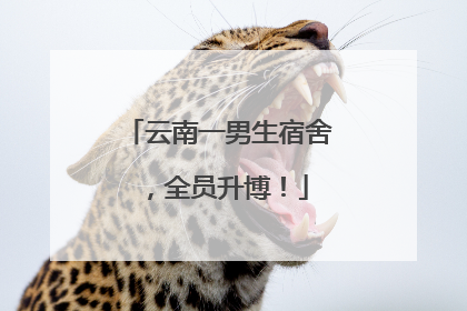 云南一男生宿舍，全员升博！