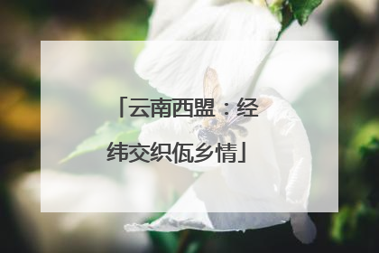 云南西盟：经纬交织佤乡情