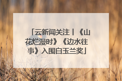 云新闻关注丨《山花烂漫时》《边水往事》入围白玉兰奖