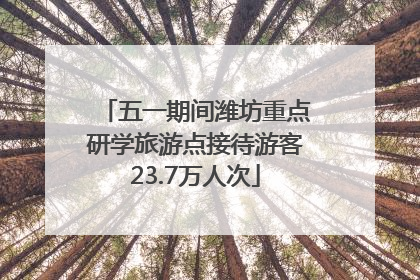 五一期间潍坊重点研学旅游点接待游客23.7万人次