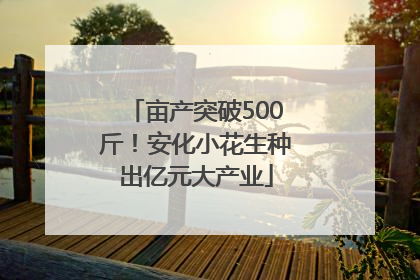 亩产突破500斤！安化小花生种出亿元大产业