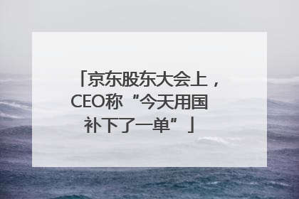 京东股东大会上，CEO称“今天用国补下了一单”