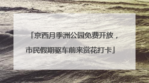 京西月季洲公园免费开放，市民假期驱车前来赏花打卡