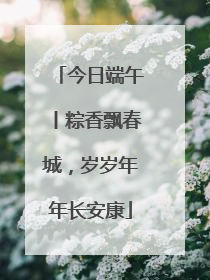 今日端午丨粽香飘春城，岁岁年年长安康