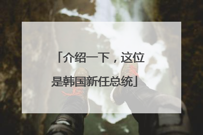 介绍一下，这位是韩国新任总统