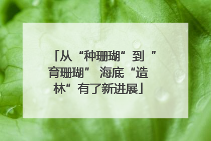 从“种珊瑚”到“育珊瑚” 海底“造林”有了新进展